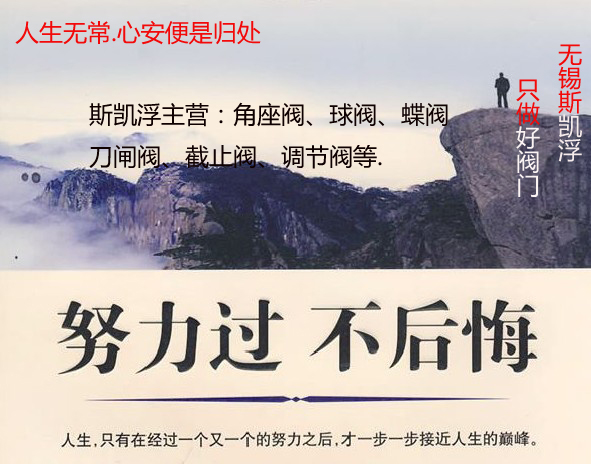PG娱乐阀门