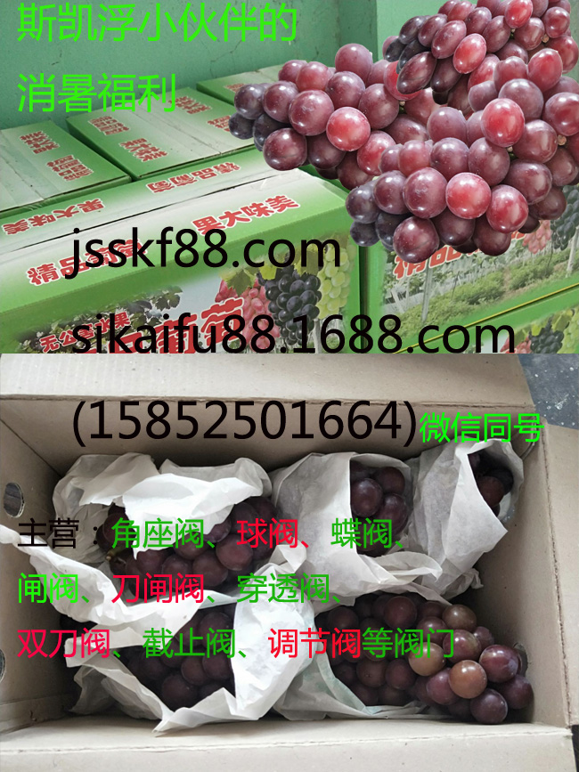 PG娱乐小伙伴消暑福利