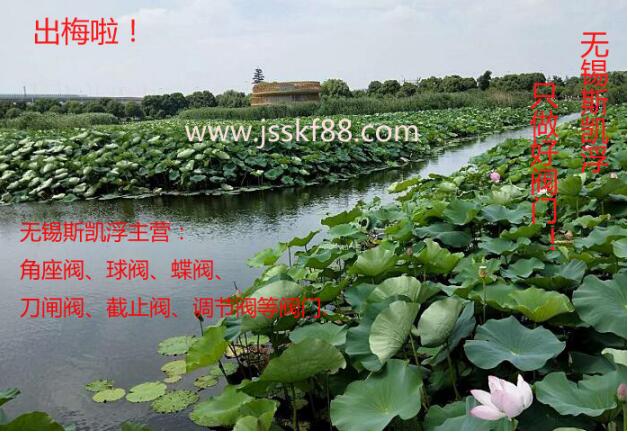 荷花.无锡PG娱乐阀门